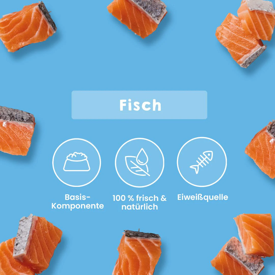 BIO Lachsabschnitte DE-ÖKO-006 - Image 4